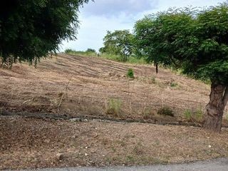 Foto 8 de Venta de terreno en Urbanización Lomas del Bosque