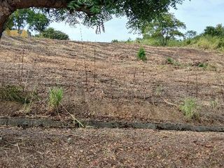 Foto 9 de Venta de terreno en Urbanización Lomas del Bosque