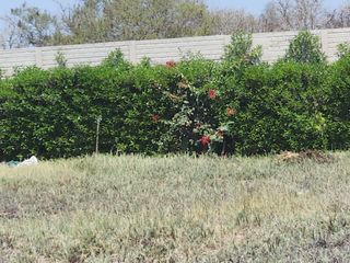 Foto 3 de LOTE EN CASA BLANCA CERRO AZUL