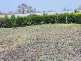 Foto 4 de LOTE EN CASA BLANCA CERRO AZUL