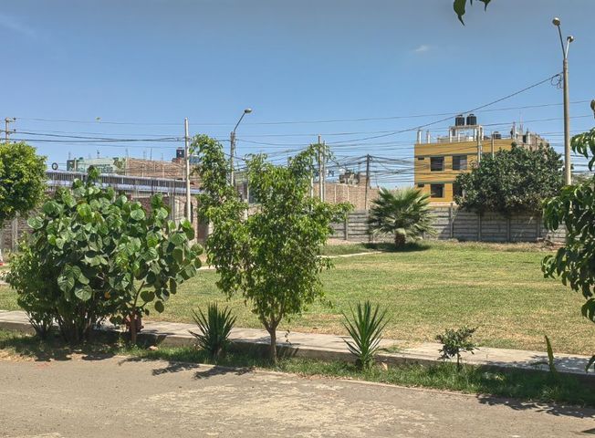 place photo 25
