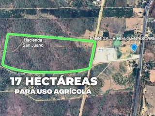 Foto 7 de Terreno agricola en alquiler en Via a la Costa Km41