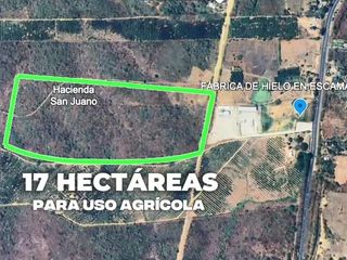Foto 16 de Terreno agricola en alquiler en Via a la Costa Km41