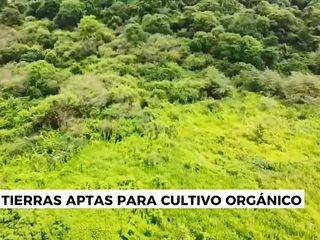 Foto 15 de Terreno agrícola en alquiler en Via a la Costa Km41