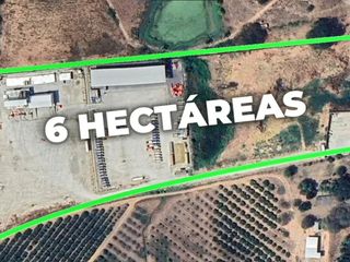 Foto 1 de Terreno agrícola en alquiler en Via a la Costa Km41