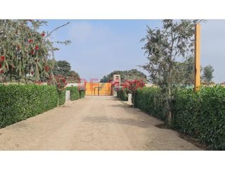 Foto 4 de ¡Oportunidad Única! Venta De 2 Lotes En El Exclusivo Condominio La Catalina