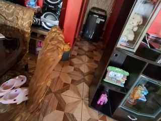 Foto 3 de ¡CASA EN VENTA CERCA A LA PANAMERICANA SUR – SUNAMPE!