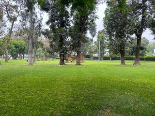 Foto 51 de Venta casa a precio de terreno. Urb. El Haras de la Molina