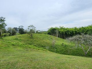 Foto 1 de Venta de LOTE