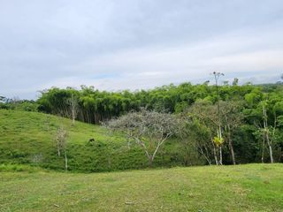 Foto 5 de Venta de LOTE