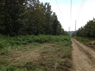 Foto 6 de VENTA DE ISLA EN ESMERALDAS