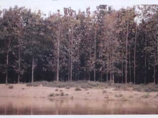 Foto 14 de VENTA DE ISLA EN ESMERALDAS