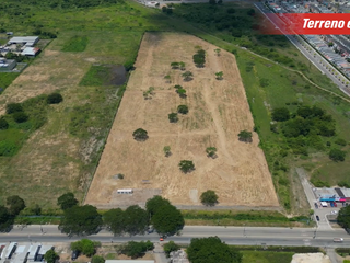 Foto 13 de Vendo Terreno 60,000m² en Chongón, a 300m de Vía a la Costa
