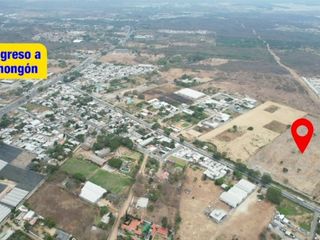 Foto 27 de Vendo Terreno 60,000m² en Chongón, a 300m de Vía a la Costa