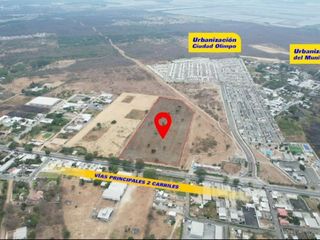 Foto 7 de Vendo Terreno 60,000m² en Chongón, a 300m de Vía a la Costa