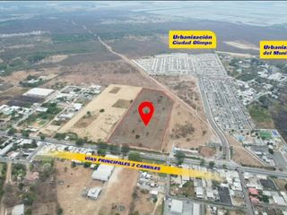 Foto 1 de Vendo Terreno 60,000m² en Chongón, a 300m de Vía a la Costa