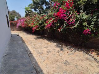 Foto 18 de ALQUILER DE CASA DE CAMPO EN LURIN