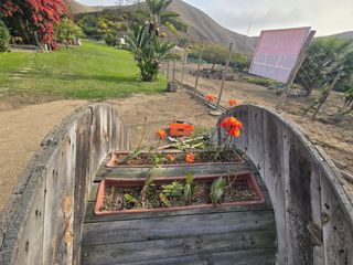 Foto 4 de Terreno Finca Los Olivos