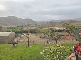 Foto 7 de Terreno Finca Los Olivos