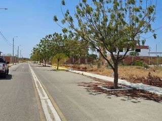 Foto 3 de GRAN VENTA DE TERRENO EN MIRAFLORES COUNTRY CLUB CASTILLA
