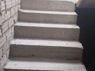 Foto 10 de 