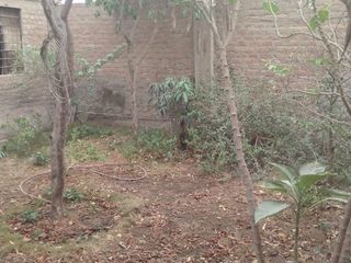 Foto 8 de 