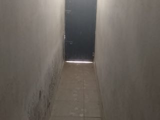 Foto 12 de 
