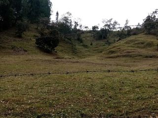 Foto 1 de Venta Lote sector Vereda Hojas Anchas Guarne