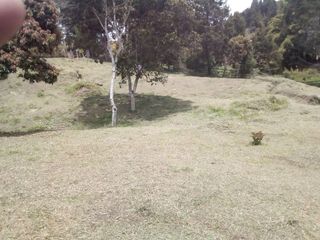 Foto 3 de Venta Lote sector Vereda Hojas Anchas Guarne