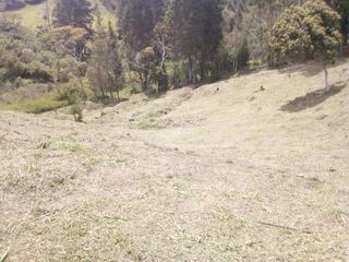 Foto 4 de Venta Lote sector Vereda Hojas Anchas Guarne