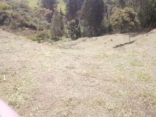 Foto 8 de Venta Lote sector Vereda Hojas Anchas Guarne