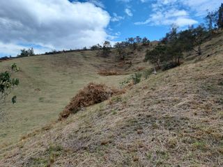 Foto 12 de Venta Lote sector Vereda Hojas Anchas Guarne