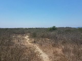 Foto 6 de Venta de terreno, sector El Aromo - Manta