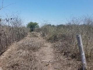 Foto 8 de Venta de terreno, sector El Aromo - Manta