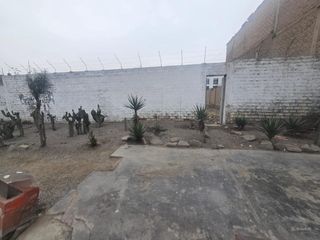 Foto 4 de Terreno Comercial de 1377 m² con frente de 20 Ml. en Avenida - Los Olivos