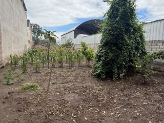 Foto 5 de RENTO TERRENO EN TUMBACO/ 780M2