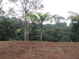 Foto 2 de VENDO TERRENO 1500M2, URB CASCADA AZUL 2, PEDRO V. MALDONADO