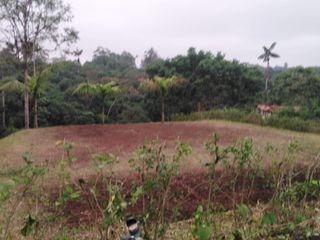 Foto 1 de VENDO TERRENO 1500M2, URB CASCADA AZUL 2, PEDRO V. MALDONADO