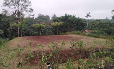 similar_image