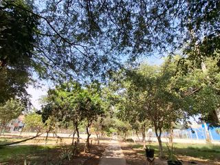 Foto 31 de EN VENTA HERMOSO DEPARTAMENTO EN URB. EL PACÍFICO EN SMP