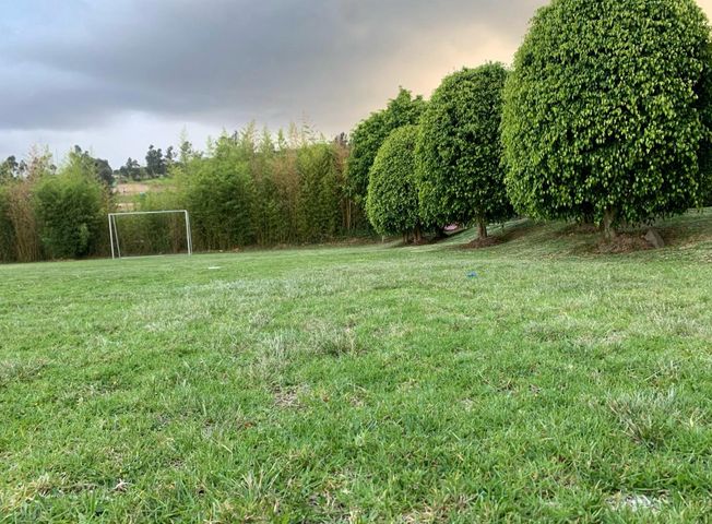 place photo 52