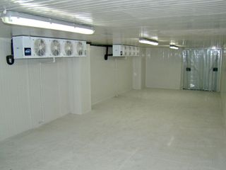 Foto 9 de Excelente bodega en venta ubicada en Álamos sur