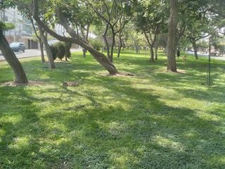 Foto 5 de VENDO HERMOSO DEPARTAMENTO LINCE PISO 7 DPTO+ COCHERA