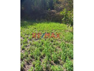 Foto 4 de Magnifica Oportunidad Terreno En Venta De 2015 M2 En Huara, Huacho, Distrito De Santa María
