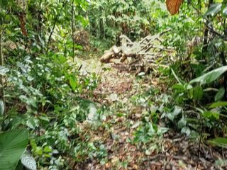 Foto 20 de Ocasión Venta Terreno Iquitos