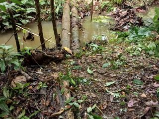 Foto 49 de Ocasión Venta Terreno Iquitos