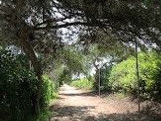 Foto 4 de Terreno, 3,321 m2, Bujama Alta, Mala, Km 90 Panamericana Sur, Condominio Valle Escondido