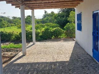 Foto 4 de Alquiler Casa De Campo En Chincha Baja