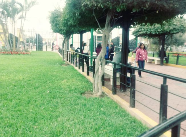 place photo 16