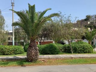 Foto 1 de VENDO DPTO DE ESTRENO EN SAN BORJA PRECIO DE OCASION NO PAGA ALCABALA